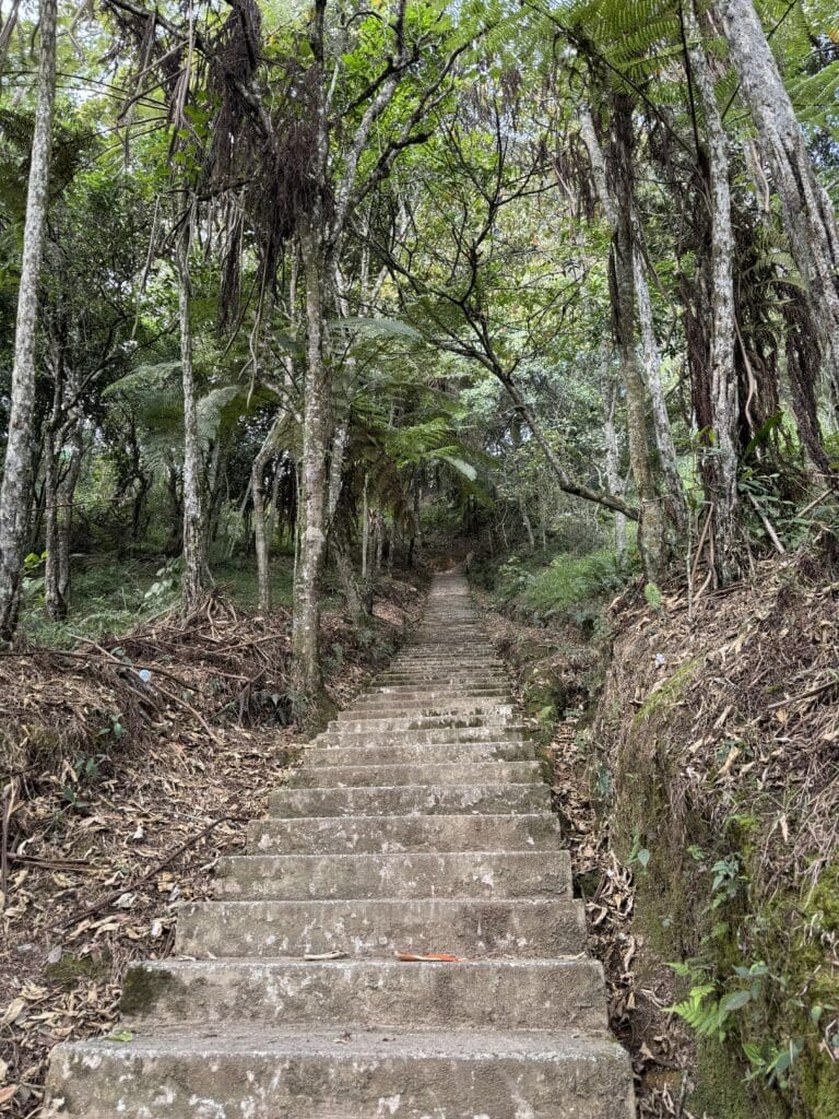 Stairs up to Paragliding in Medellin